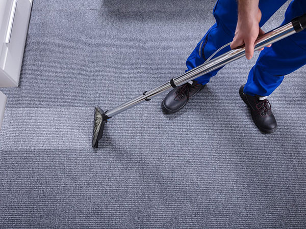 Expert Carpet Cleaning in Cincinnati: Revive Your Living Spaces