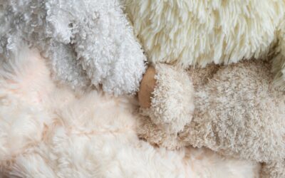 Caring for Your Wool Rugs: Top Tips You Need to Know